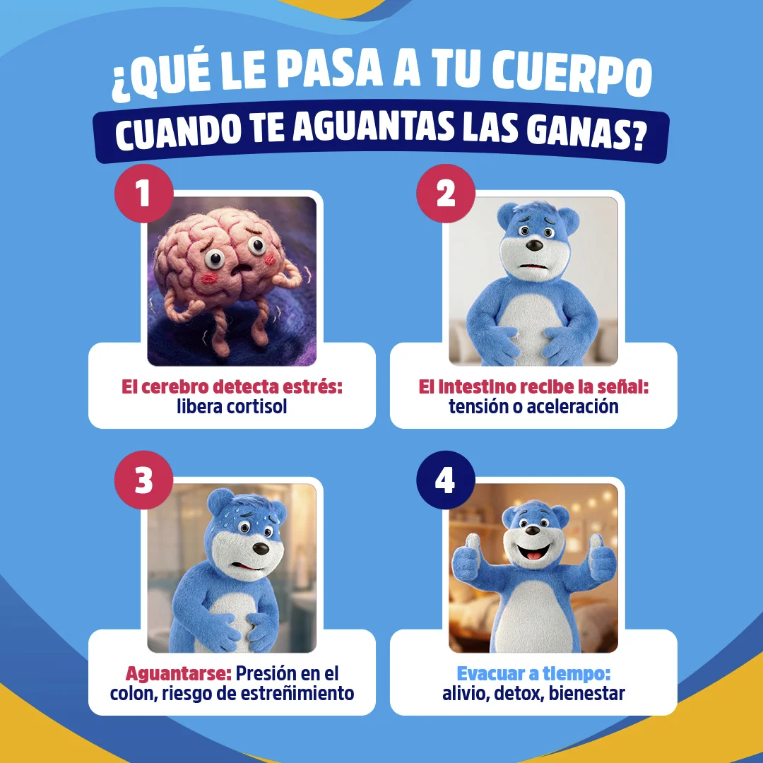 Infográfico - Ansiedad por ir al baño en público